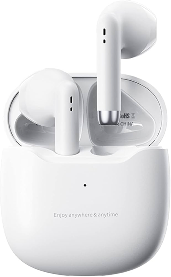 Wireless earbuds
